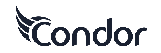 Condor_Electronics_Logo.svg (1) (1)